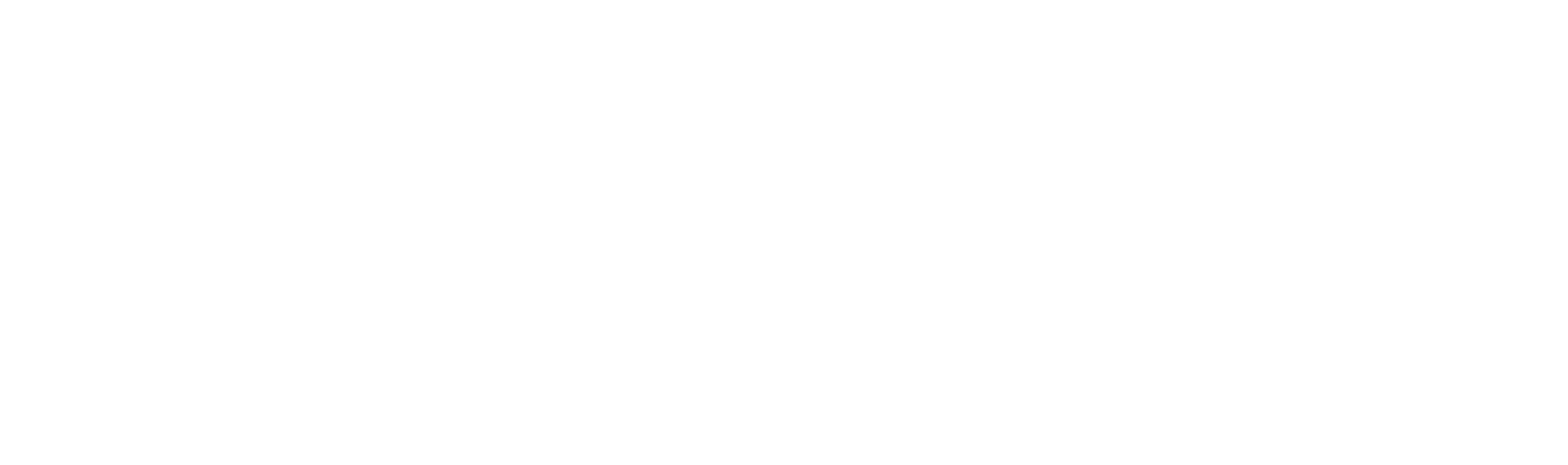 Sport Gürteler